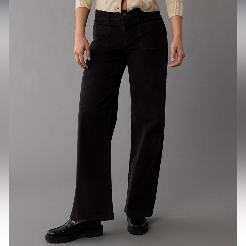 American Eagle Stretch Corduroy Low-Rise Baggy Wide Leg Pant